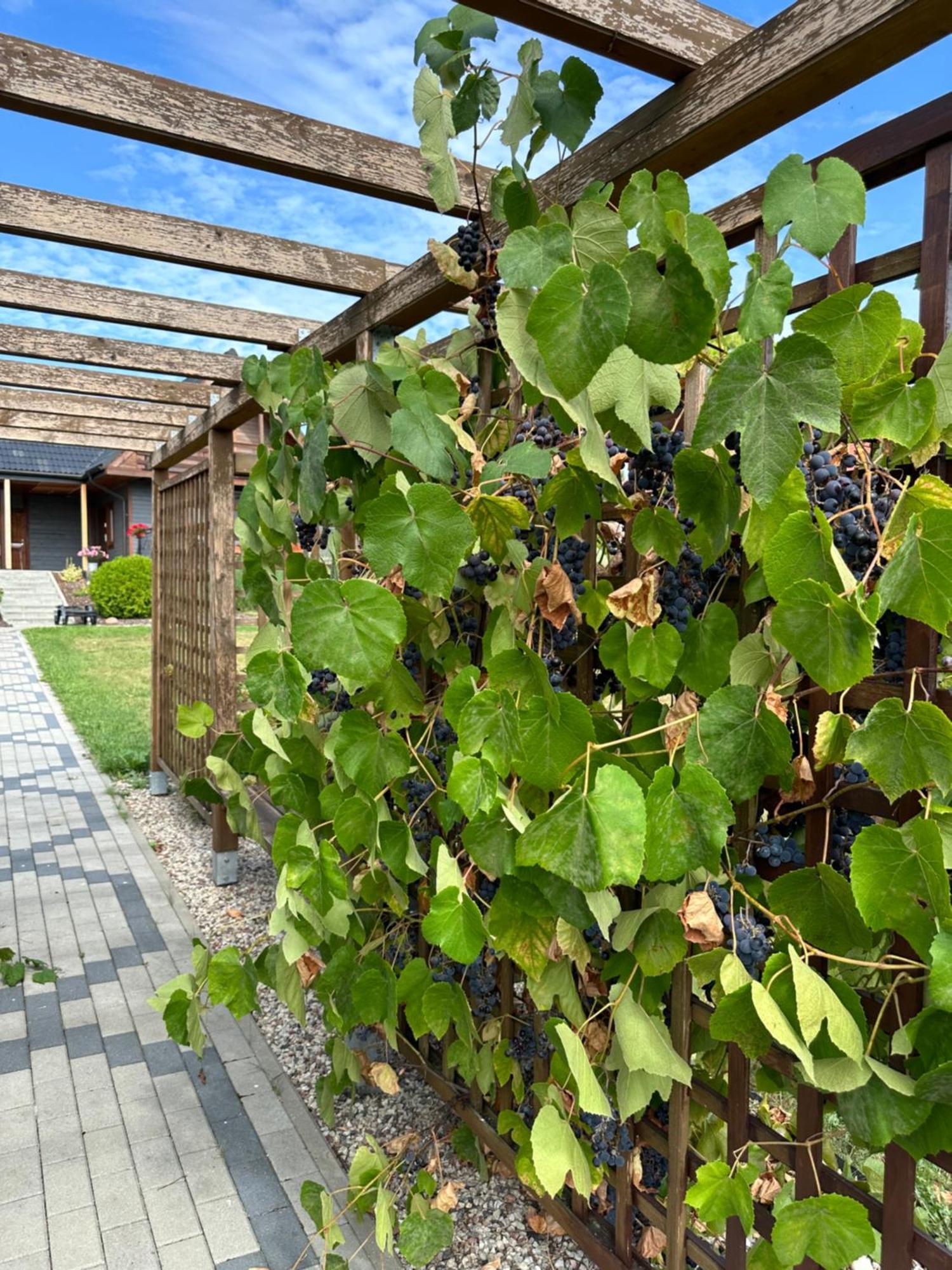 Vila Rajska Przystan II Wrony Exteriér fotografie